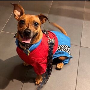 Meet your Posher, Emily